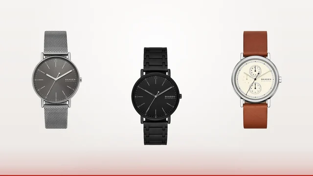 Ceasuri Skagen barbatesti: 14 modele citite pe fisa
